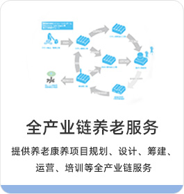 全產(chǎn)業(yè)鏈養(yǎng)老服務(wù) 集團(tuán)集地產(chǎn)、醫(yī)療、照護(hù)、銷(xiāo)售等多產(chǎn)業(yè)聯(lián)動(dòng)